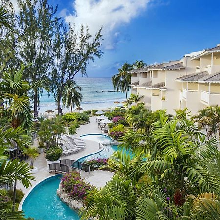 Bougainvillea Barbados كرايست تشيرش المظهر الخارجي الصورة