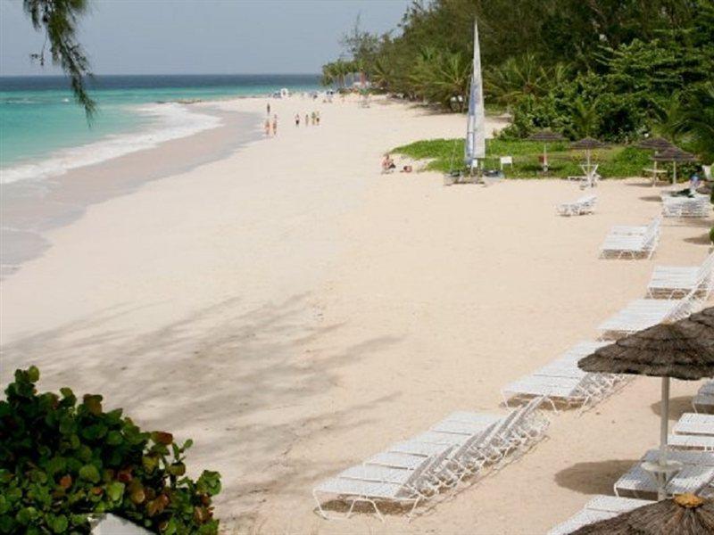 Bougainvillea Barbados كرايست تشيرش المظهر الخارجي الصورة