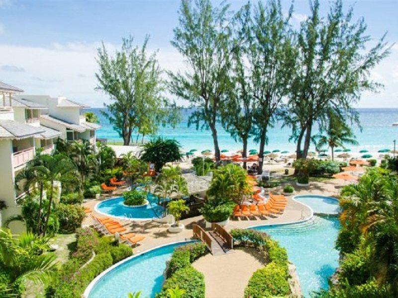 Bougainvillea Barbados كرايست تشيرش المظهر الخارجي الصورة