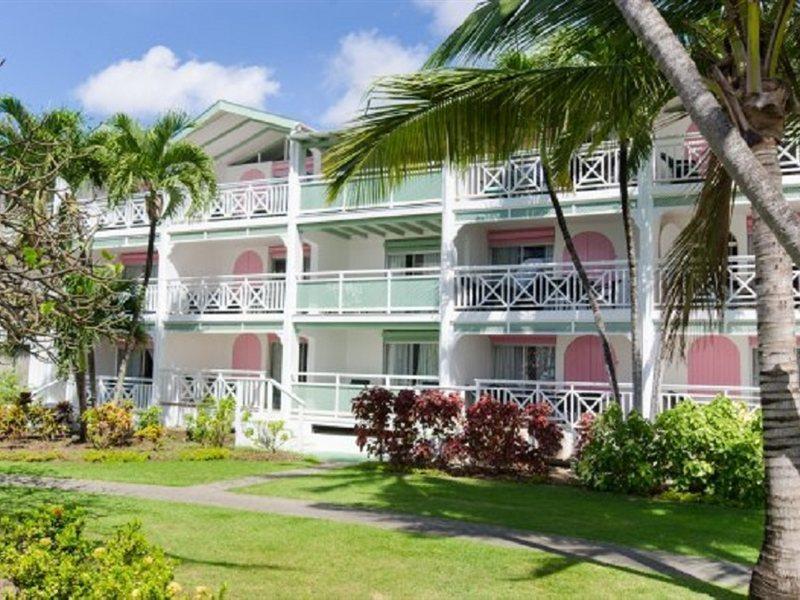 Bougainvillea Barbados كرايست تشيرش المظهر الخارجي الصورة