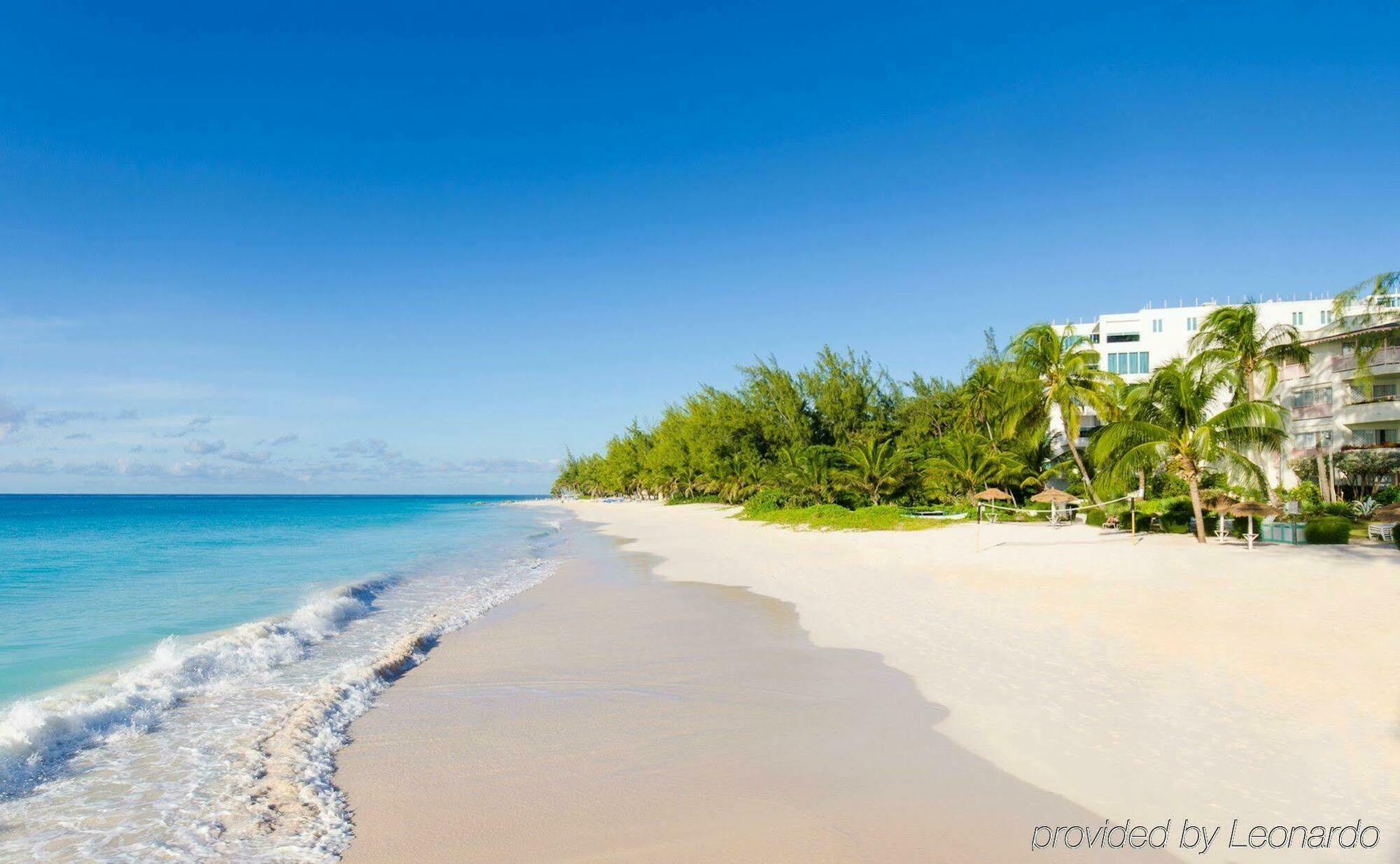 Bougainvillea Barbados كرايست تشيرش المظهر الخارجي الصورة
